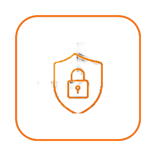 Security Assessment